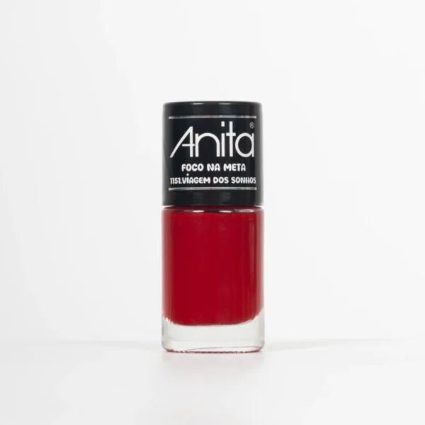 ESMALTE ANITA FOCO NA META VIAGEM DOS SONHOS 10ML