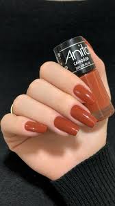 ESMALTE ANITA POR DO SOL - MARROM